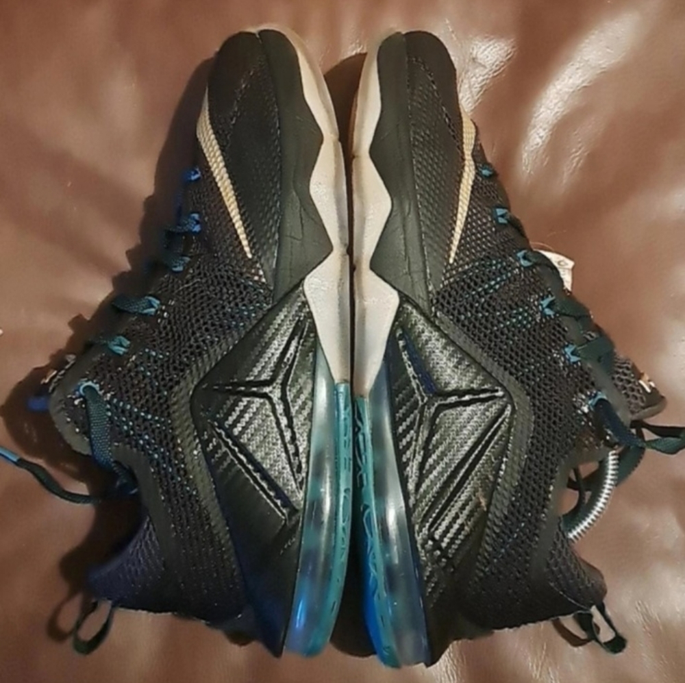 Nike lebrons 12 cabon fiber